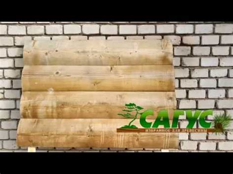 Отбеливатель для древесины Сагус "Профи" в действии - YouTube
