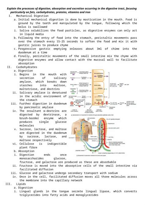 Docx Digestion Absorption And Secretion Of The Human Gi Tract