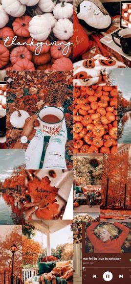 Harvest Harmony Collages Of Autumns Beauty Thanksgiving Collage