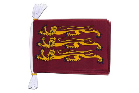 Richard Lionheart Flag Bunting 6x9 3 M MaxFlags Royal Flags