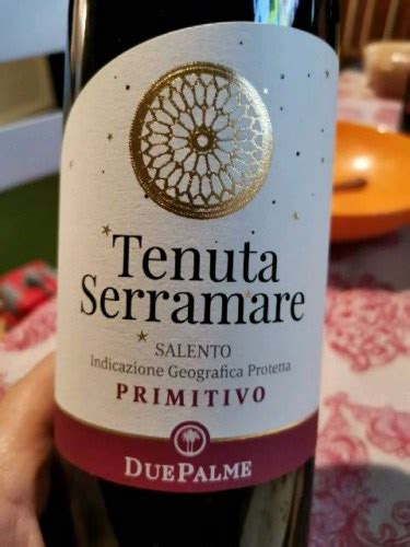 Cantine Due Palme Tenuta Serramare Primitivo Vivino Us