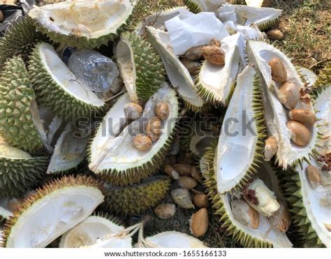 Pile Durian Skins Seeds Stock Photo Shutterstock