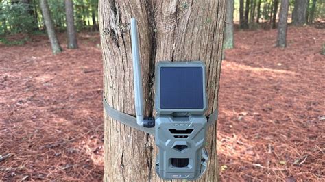 Spypoint Flex S Solar Panel Trail Camera Review Spypoint Trailcam