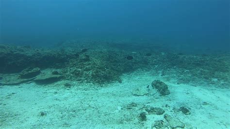 Douglas Shoal Sediment Sampling Panorama Video Ax Gh