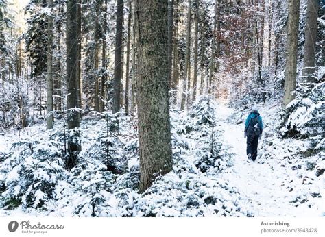 Spazieren Im Winterwald Ein Lizenzfreies Stock Foto Von Photocase