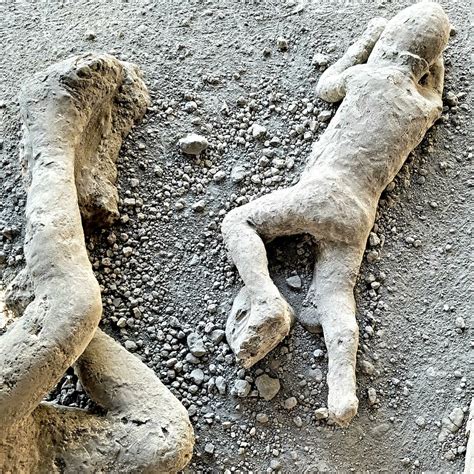 During The Excavations In Pompeii The Remains Of Over One Thousand