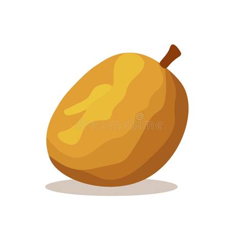 Sawo O Sapodilla Ilustración Vectorial De La Fruta Manilkara Zapota O