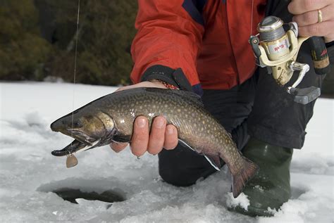 Ice Fishing For Stocked Brook Trout Northeastern Ontario Canada