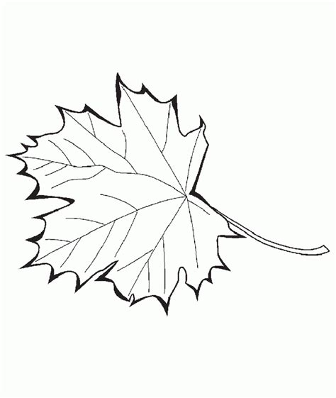 Trees And Leaves Coloring Free Printable Coloring Page Coloring Home