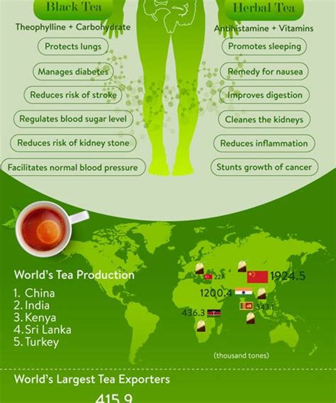 Tea Facts And Health Benefits Infographic Best Infographics