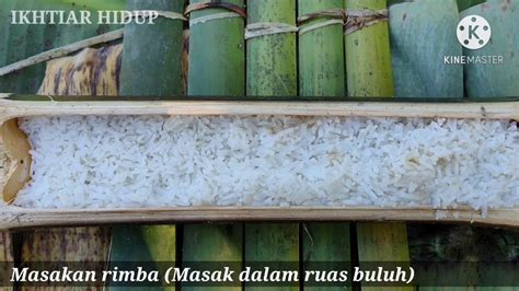 Ikhtiar Hidup Masakan Rimba Youtube