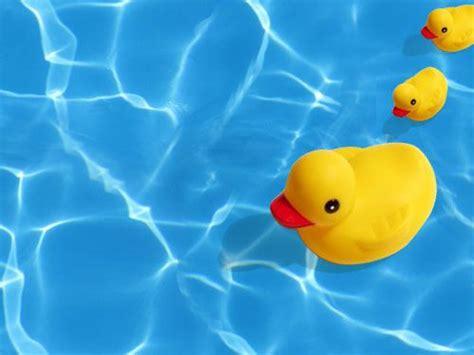 Rubber Duck Background Image