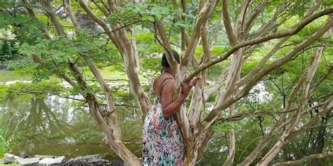 Pussy Chronicles As Medicine Sensually Empowered Woman