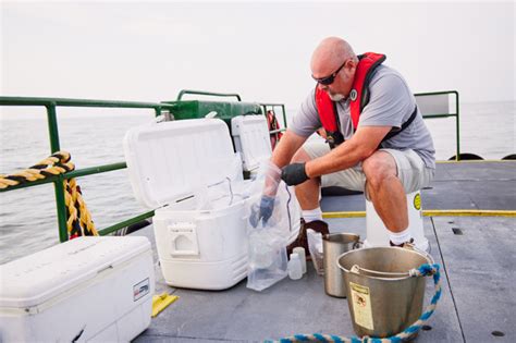 Navigating The Depths Inside The Delaware Bay S Longest Running Water