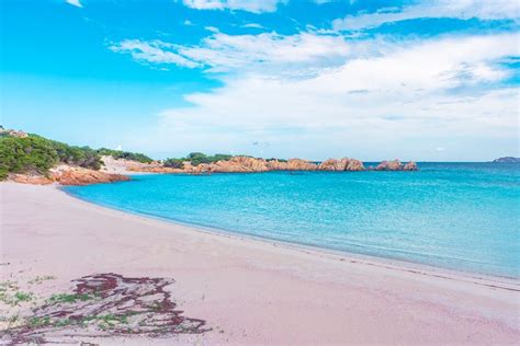 17 Best Pink Sand Beaches In The World PlanetWare