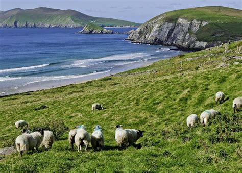 Tailor Made Vacations To The Dingle Peninsula Audley Travel Us