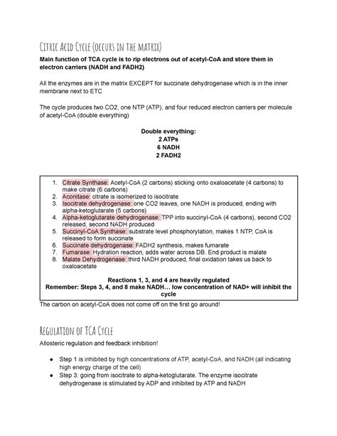 TCA Cycle ETC And Oxidative Phosphorylation Typed Study Guide