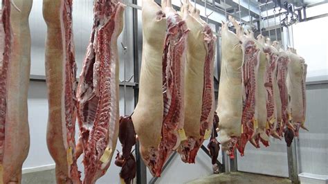 Abattoirs And The Meat Industry Agribook Digital