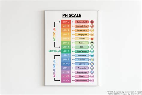 PH SCALE POSTER Educational Poster Science Poster for Kids - Etsy UK