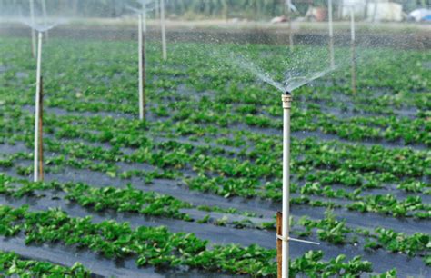 3 Best-Kept Secrets about Farm Irrigation Systems