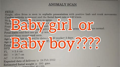 Anomly Scan In Pregnancy Anormallik Tarama Raporu Nas L Okunur