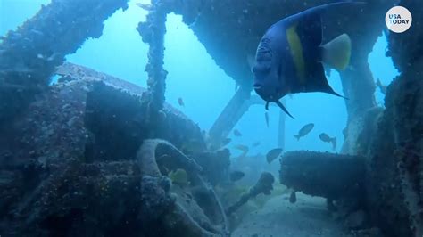 Qatar Uses Old Vehicles As Underwater Reefs