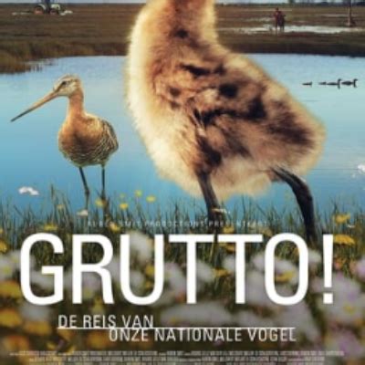 BEKIJK HD Grutto De Reis Van Onze Nationale Vogel 2022 Volledige