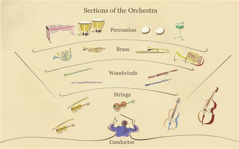 Describe The Major Sections Of The Orchestra Delilah Has Sheppard