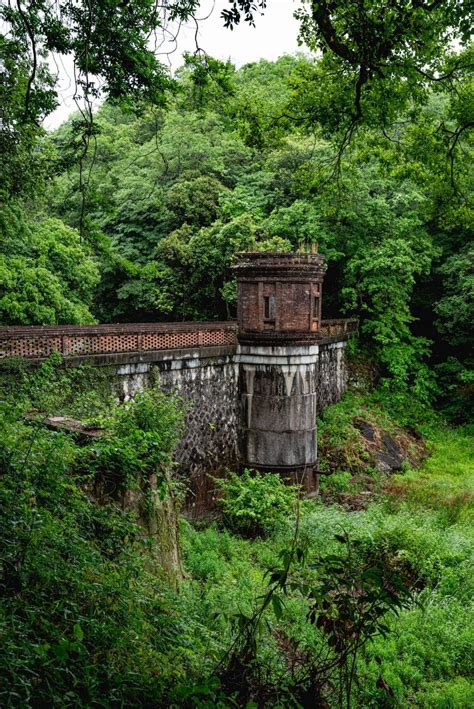 yuichiro kamio on Twitter RT urbex 34 森の中にひっそりと佇む今から100年前に築かれた煉瓦造り