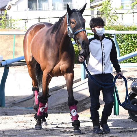 メイケイエール 高松宮記念で引退 ラストランで悲願のg1初制覇目指す 2024年2月21日掲載 ライブドアニュース