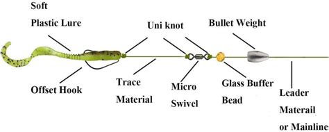 How To Setup A Carolina Rig? Setup Guide & Tips - Bass N Edge