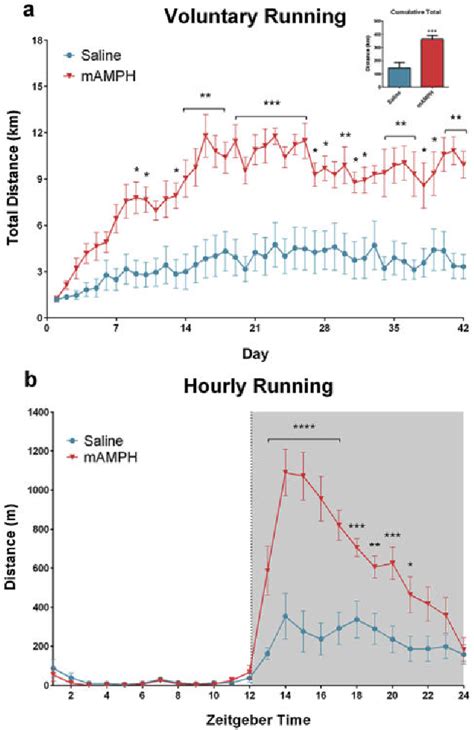 Figure From Methamphetamine Blocks Exercise Effects On Bdnf And Drd