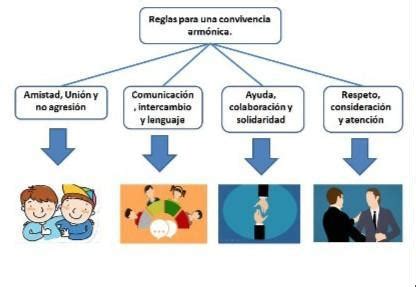 Realizar Un Organizador Gr Fico Sobree La Familia Y Sus Normas