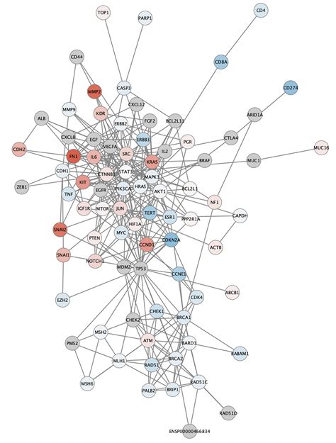 De Genes Network Analysis