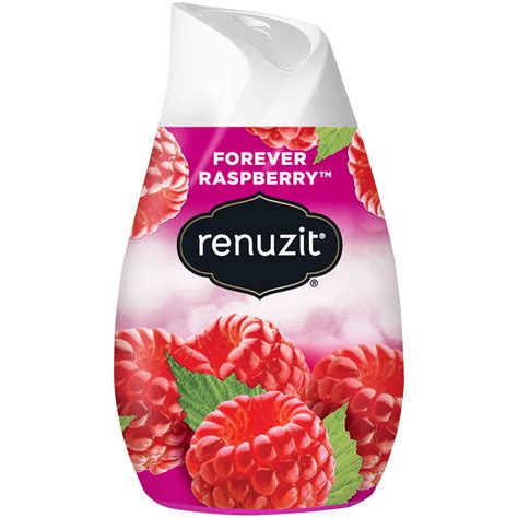 Renuzit Solid Gel Air Freshener Cone Forever Raspberry Cone