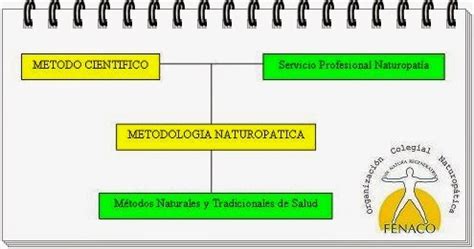 La utilización de la Metodología Naturopática propicia el avance