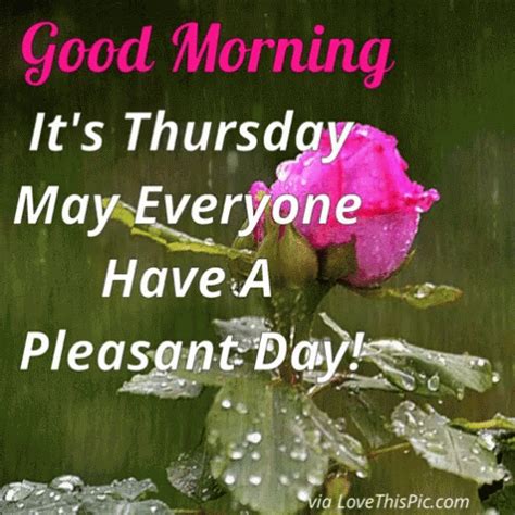 Good Morning Thursday GIF - GoodMorning Thursday HaveANiceDay - Discover & Share GIFs