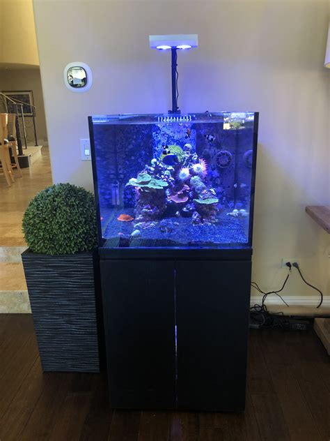 Reef Tank Saltwater Gallon System Fish Tools Animals Quick