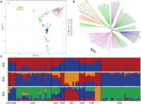 Frontiers Whole Genome Resequencing Of Native And Imported Dairy Goat