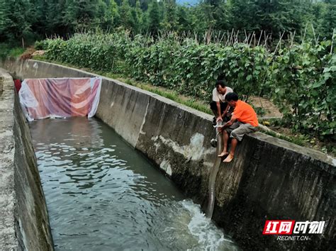 汝城：抗旱保产战正酣腾讯新闻