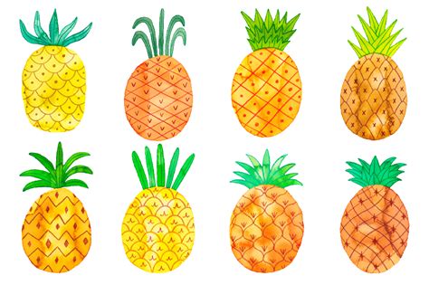 Watercolor Pineapple Set On Yellow Images Creative Store