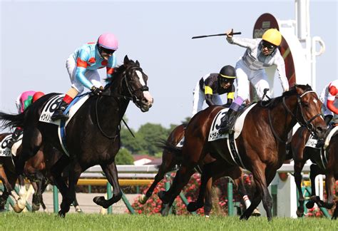 【宝塚記念】イクイノックス完勝で同期ドウデュースがトレンド入り「宝塚記念で見たかった」 競馬写真ニュース 日刊スポーツ