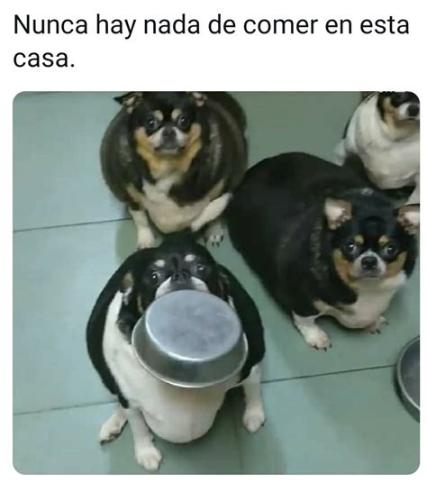 Nunca Hay Nada De Comer En Esta Casa Memes