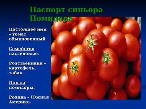 Презентация "Культурные растения. Помидор"