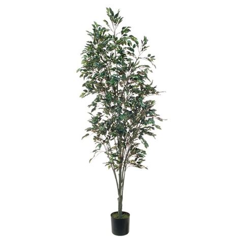 Acheter Des Plante Artificielle Ficus Benjamina Bratko Tronc