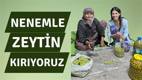 Nenemle Zeyt N Kiriyoruz Kendi Zeytininizi Kendiniz Yap N