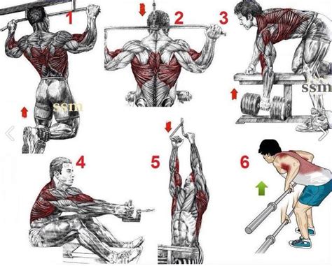 Back Workout Back Workout For Mass Good Back Workouts Back Workout