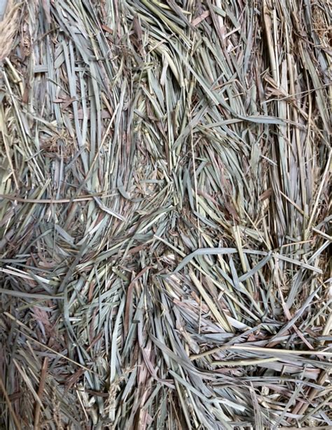 Meadow Hay For Horses For Sale USA Sale | www.ykshocam.com