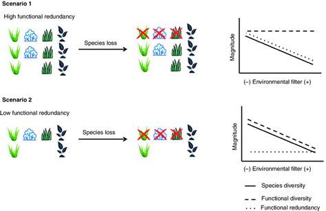 Conceptual Diagram Showing How Functional Redundancy Can Aid In The