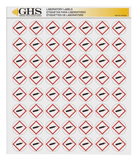 Ghs Safety English Gas Cylinder Label 10x339 Ghs1209 Grainger